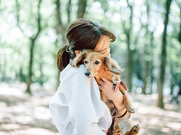 お別れからご供養まで心をつなぐお手伝い