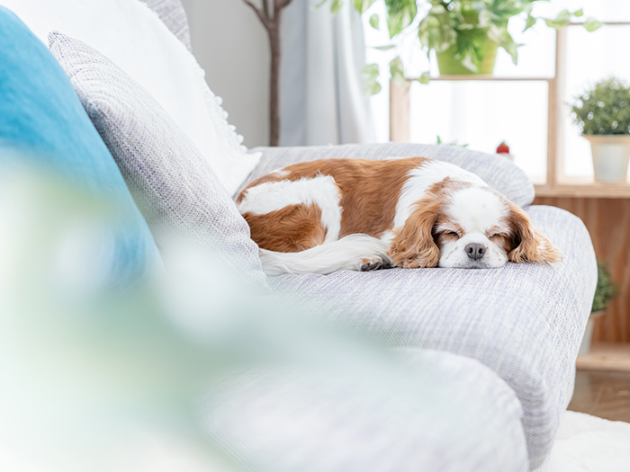 真心をこめて旅立ちのそばに