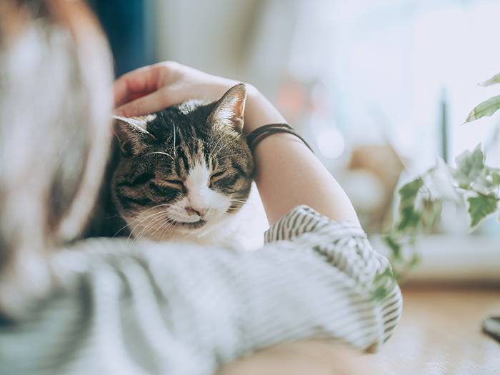 大切な旅立ちに寄り添って